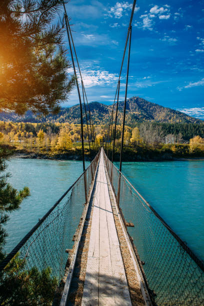 Pedestrian suspended wooden bridge over mountain river. Long bridge across the river against background of mountains covered with forest, golden autumn Pedestrian suspended wooden bridge over mountain river. Long bridge across the river against background of mountains covered with forest, golden autumn, indian summer warm sunny day. altay state nature reserve stock pictures, royalty-free photos & images