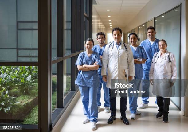 Team Of Doctors And Nurses Working At The Hospital Stock Photo - Download Image Now - Doctor, Healthcare And Medicine, Teamwork