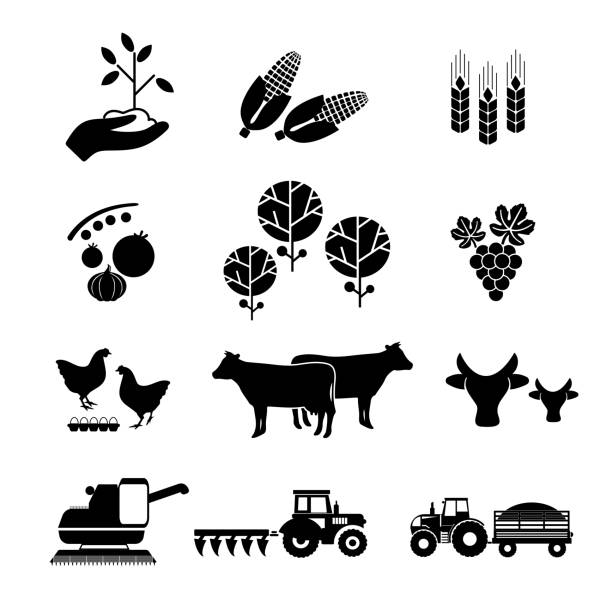 ilustrações, clipart, desenhos animados e ícones de agricultura, ícones agrícolas - husbandry