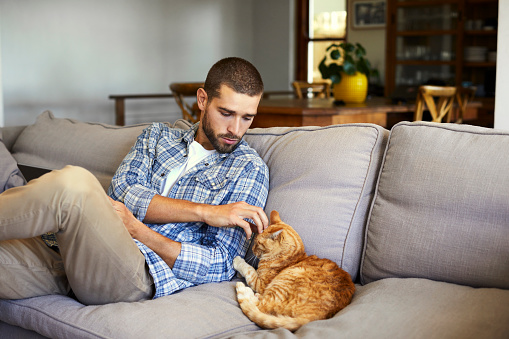 Mid adult man playing with cat. Male is sitting on sofa. He is in casuals at home during epidemic emergency.