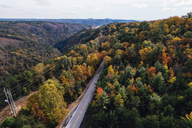 istock road headed into Tallulah Gorge State park surrounded by vibrant color 1352255621