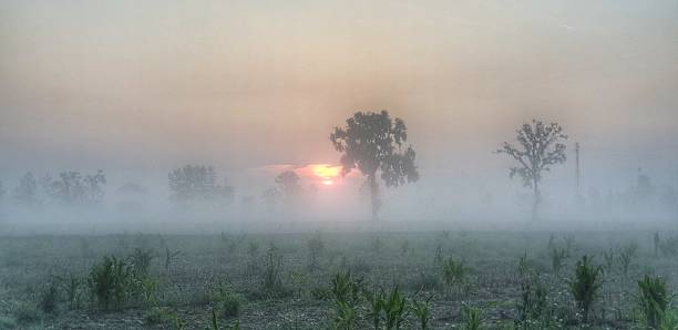 vista panorâmica da neblina sobre o canal de vacchelli (rio adda) em novembro ao nascer do sol (itália - lombardia - spino d'adda) - padan plain - fotografias e filmes do acervo