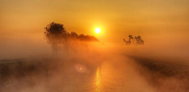 vista panorâmica da neblina sobre o canal de vacchelli (rio adda) em novembro ao nascer do sol (itália - lombardia - spino d'adda) - river adda - fotografias e filmes do acervo