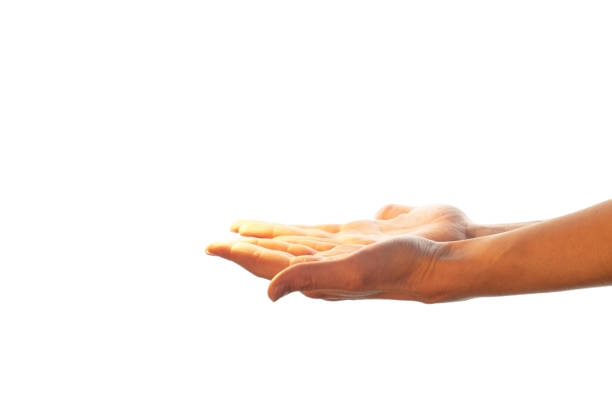 istock Women's hands hold empty space in open palms. The layout for the insert is isolated on a white background. 1352258568