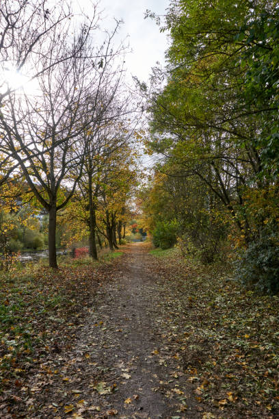 istock beautiful path by the river with trees in autumn 1352259111