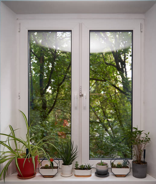 istock Home green plants on the window sill 1352259255