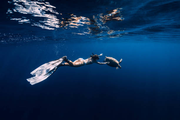 istock Lady with fins dive underwater with turtle in blue ocean. 1352259834