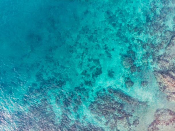 istock Drone View Clear Sea and Cliffs at the Bottom 1352260597