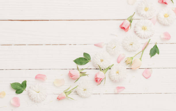 istock pink and white flowers on white wooden background 1352260704