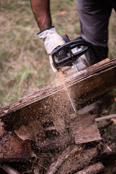 istock Cutting wood with an electric chainsaw 1352262337