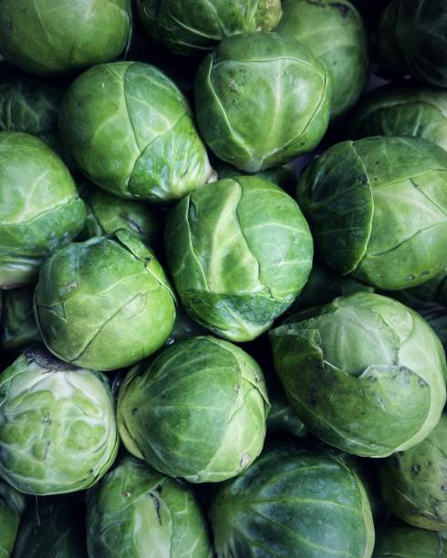 istock Pile of fresh brussels sprout. 1352263341