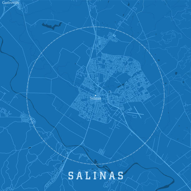 салинас ca векторная дорожная карта города синий текст - salinas stock illustrations