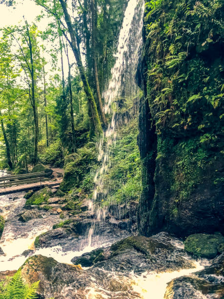 istock The waterfalls in the Black Forest. 1352266165