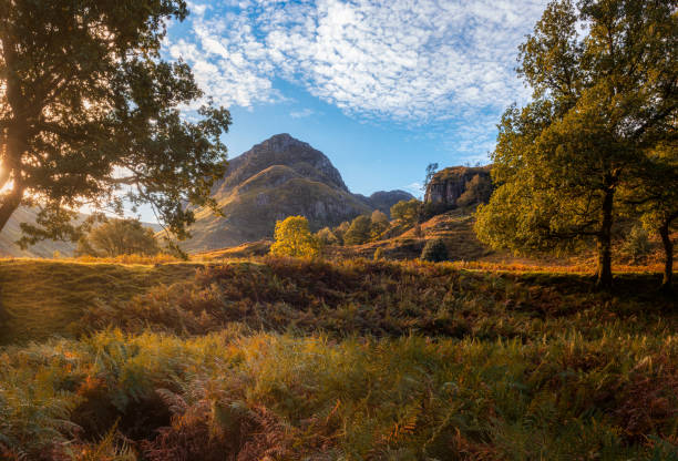 istock Autumn Mountain Landscape 1352266230