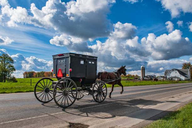 istock Amish Buggy on rural Road 1352270086