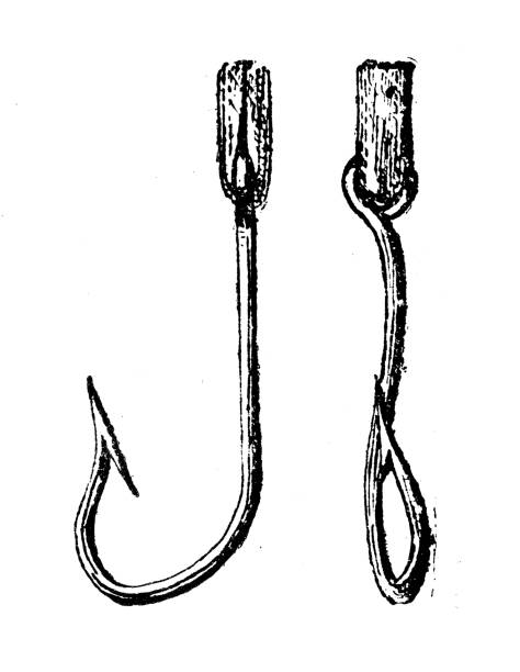 Antique illustration: hook Antique illustration: hook fishing hook illustrations stock illustrations
