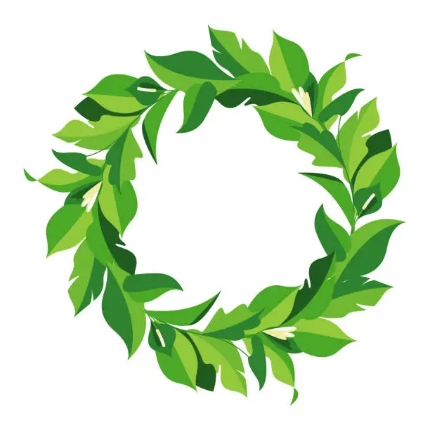 Vector illustration of Botanical wreath of green branches and leaves. Circle foliage frame for decoration, design, label.