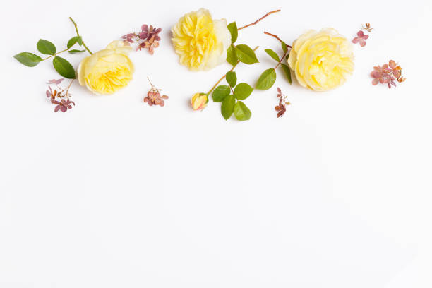 istock Festive flower composition on the white wooden background. Overhead view 1352272458