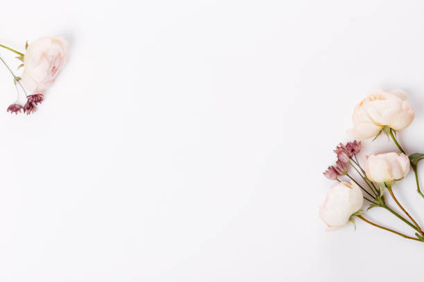 istock Autumn flowers composition. Frame made of pink rose, hydrangea flowers on white gray background. Flat lay 1352272529