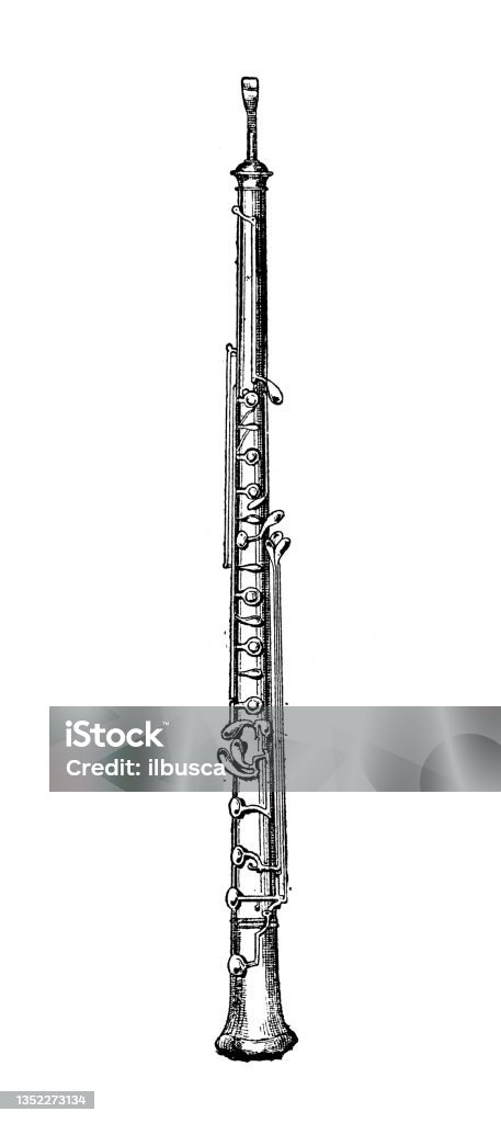 Oboe Drawing Easy Antique Illustration Oboe Stock Illustration - Download Image Now ...