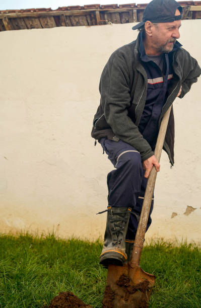 istock Mature man plants a tree in the backyard 1352274888