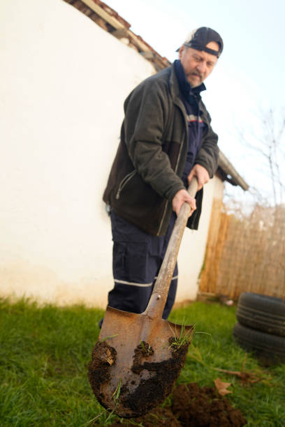 istock Mature man plants a tree in the backyard 1352274962
