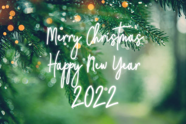 istock Pine tree background for Christmas with greetings 2022 1352275192