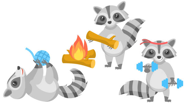 istock Set Abstract Collection Flat Cartoon 
Different Animal Raccons Playing With A Ball Of Thread, Goes In For Sports With Dumbbells, Makes A Fire Vector Design Style Elements Fauna Wildlife 1352275725