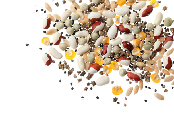 istock Mix of vegetable seeds on white background, top view 1352279398