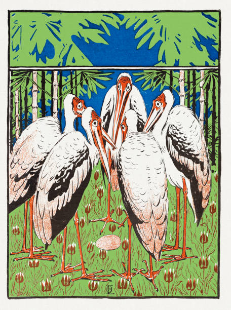 ilustrações, clipart, desenhos animados e ícones de grupo de cegonha marabou na floresta em torno de ovo decorativo art nouveau 1897 - engraving eggs engraved image old fashioned