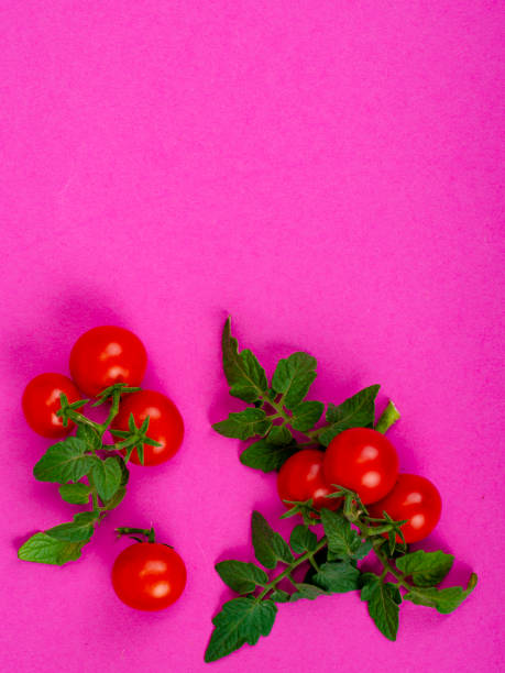 istock Idea with fresh organic vegetables against bright background. Minimal health concept. Studio Photo 1352281360
