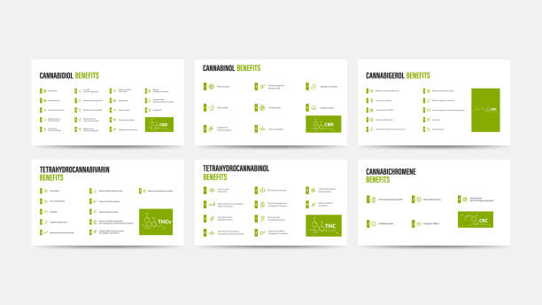 マリファナカンナビノイドの主な利点, 自然カンナビノイドの利点を持つ情報ポスター, cbd, thc, cbc, cbg, cbn, thcv - structural formula点のイラスト素材／クリップアート素材／マンガ素材／アイコン素材
