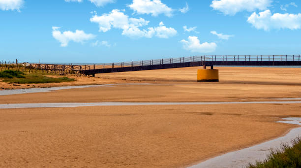 50+ Rio Salado Stock Photos, Pictures & RoyaltyFree Images iStock