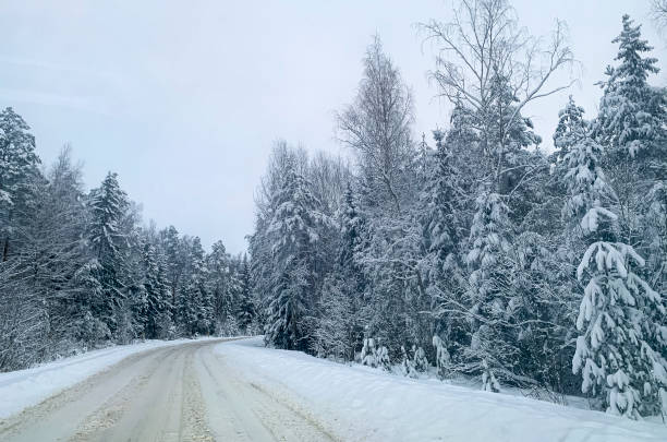 istock Winter. The first snow on branches of bushes and trees. 1352282658