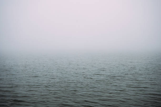 istock Foggy Lake in th winter 1352282704