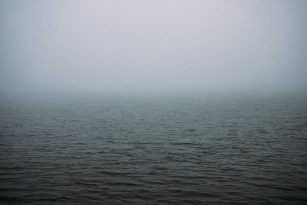 istock Foggy Lake in th winter 1352282709
