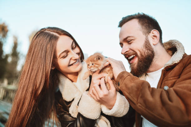 istock Smiling Modern Couple Playing With Their New Kitten Outside 1352283493