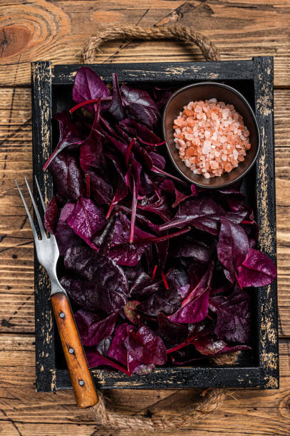 rubi suíço cru fresco ou salada de acelga vermelha leafs em uma bandeja de madeira. fundo de madeira. vista superior - ruby red chard - fotografias e filmes do acervo