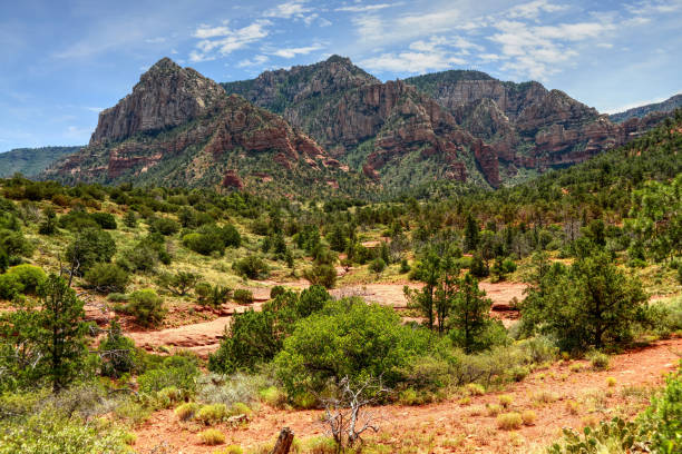 istock Sedona Arizona 1352287743