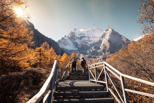 Holy mountain Xiannairi, Shangri-La view with autumn forest on sunny day at Yading nature reserve, Daocheng, China