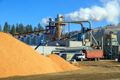 Industria maderera Molino de pellets de madera Para biocombustibles photo