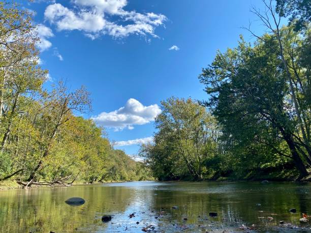 istock Calm Stream in the woods under blue sky 1352293792
