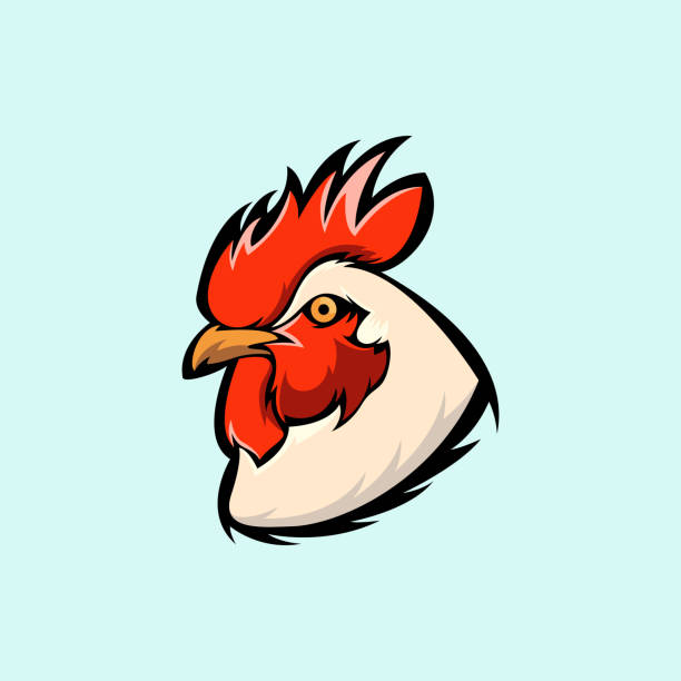 Angry Rooster Illustrations, Royalty-Free Vector Graphics & Clip Art - iStock Angry Rooster Illustrations, Royalty-Free Vector Graphics & Clip Art - iStock