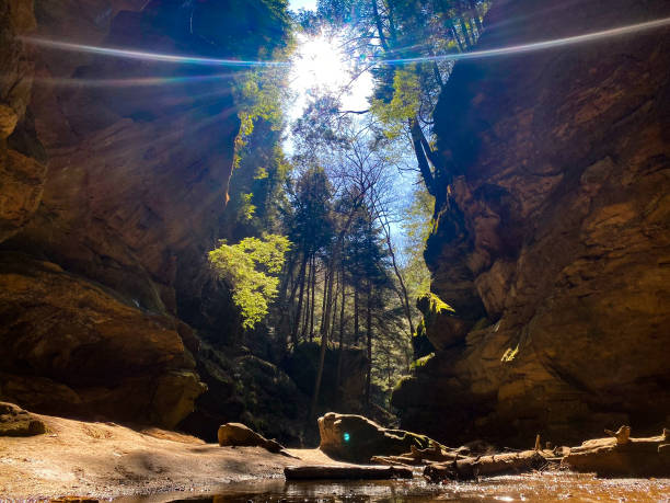 Sunshine in wooded canyon with small stream Sunshine in wooded canyon with small stream hott stock pictures, royalty-free photos & images
