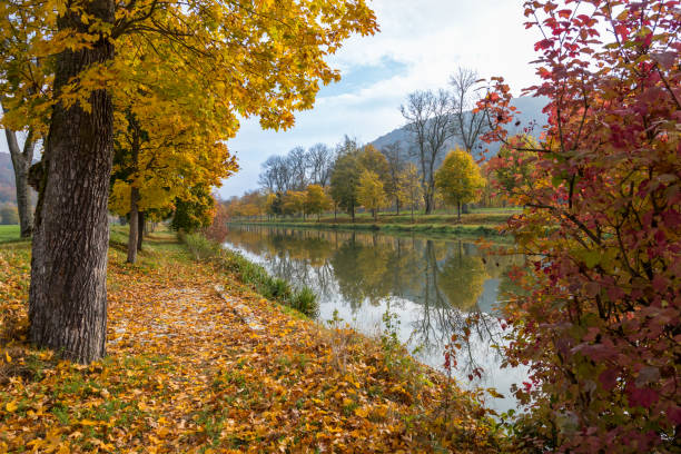 ludwig-donau-main-kanal, essing, bavaria, germany at fall - essing stock-fotos und bilder