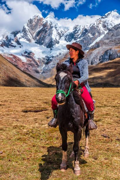 молодая девушка верхом на лошади в перуанских андах, южная америка - mountain peru cordillera blanca mountain range стоковые фото и изображения