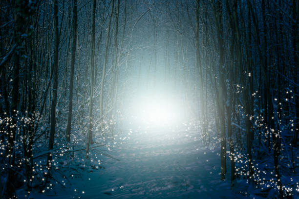 enchanted dark snowy winter forest. - fairy forest fairy tale mist imagens e fotografias de stock