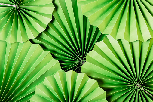 Textured background of green paper fans decorations in different sizes