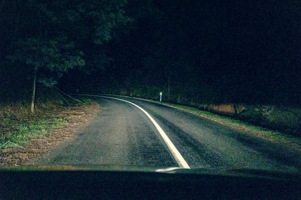 istock Driving through a forest in Australia at night. 1352299161