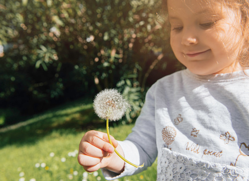 Little girl blowing dandelion seeds.